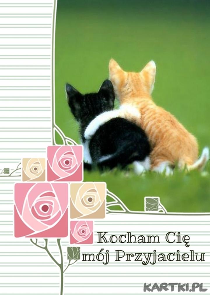 Akordy na gitarę dla początkujących