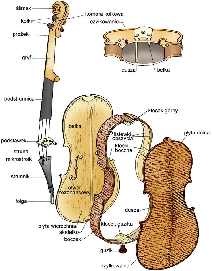 Pudło skrzypiec krzyżówka
