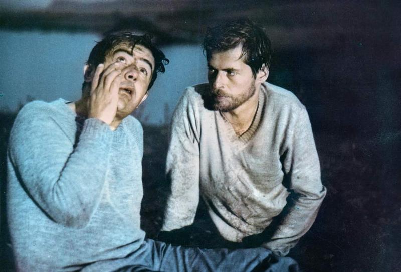 Kino moralnego niepokoju