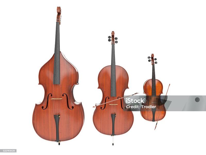 Kontrabas i wiolonczela podobieństwa i różnice