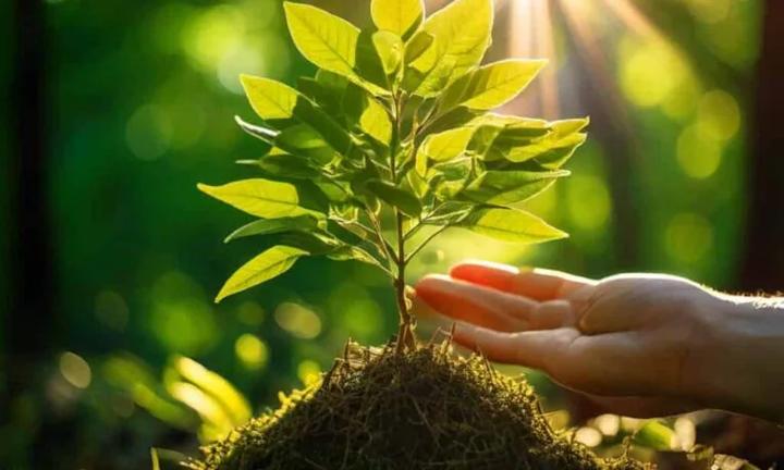 Ekoświadomość w polskim kinie: jaki wpływ mają znani aktorzy?