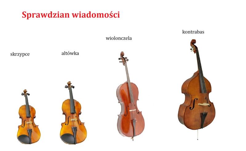 Kontrabas i wiolonczela - jakie są ich kluczowe podobieństwa i różnice?