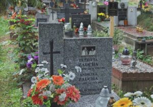 Kto śpiewa piosenkę z Gumisiów? Odkrywamy sekrety Andrzeja Zauchy i nie tylko