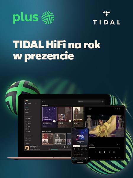Kontrola wydatków na serwisy muzyczne