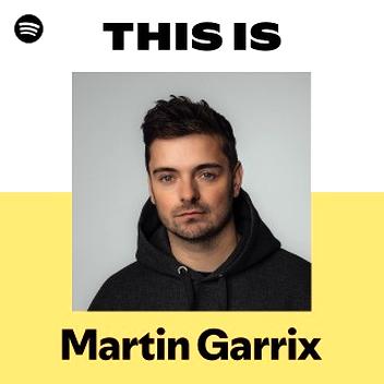 Martin Garrix i jego sukces