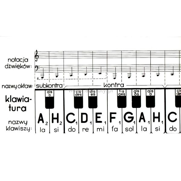 Wybór najlepszego pianina