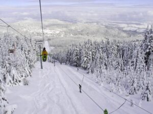 Domowe melodie: o czym naprawdę opowiada utwór Zbyszek — analiza tekstu