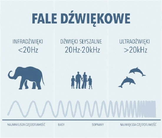 Fala dźwiękowa – czym jest, jak działa i jakie ma zastosowania?